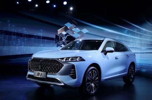 再創(chuàng)新高 長(zhǎng)城汽車2020年?duì)I收超1032億元 同比增長(zhǎng)7.35